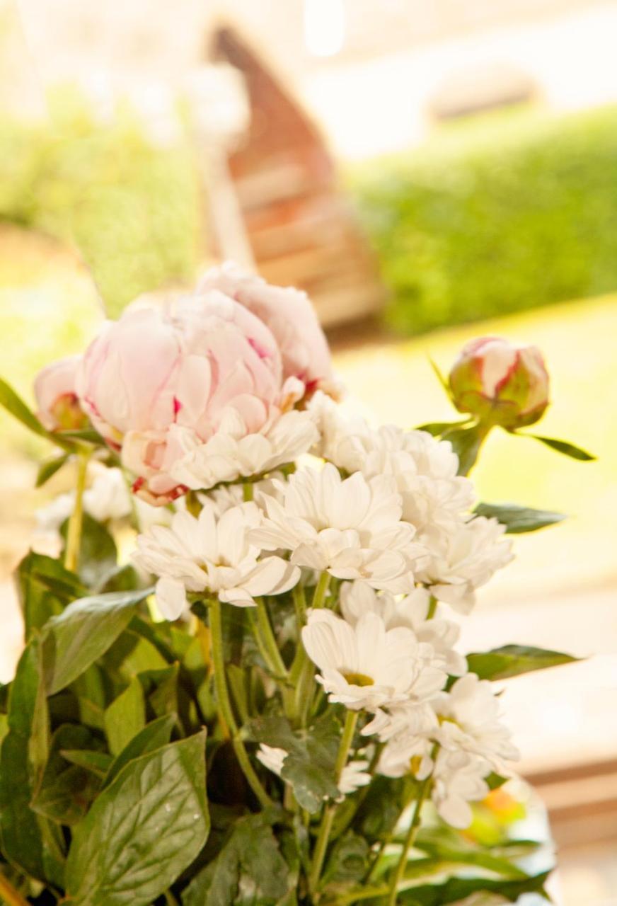 Burford Lodge Guest House Ardglass 외부 사진